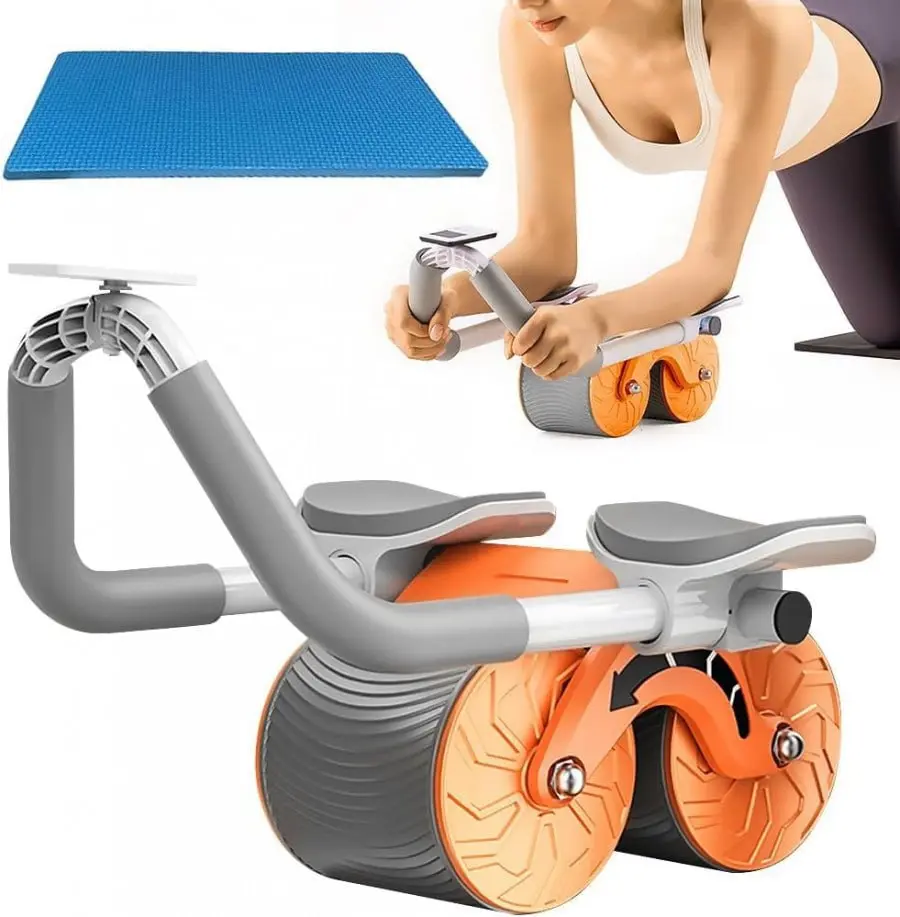 Gym Wheel
